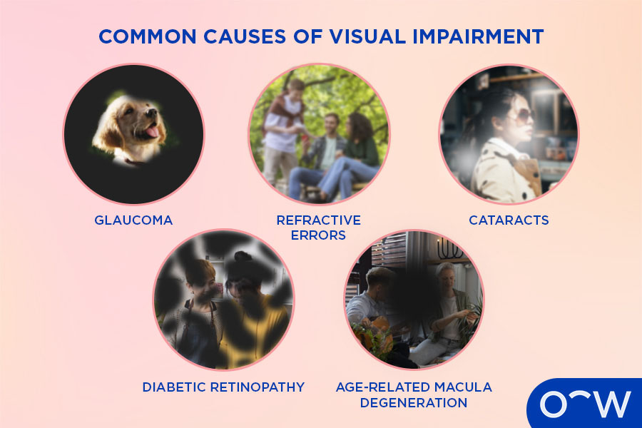 Image showing what people see with different types of visual impairments